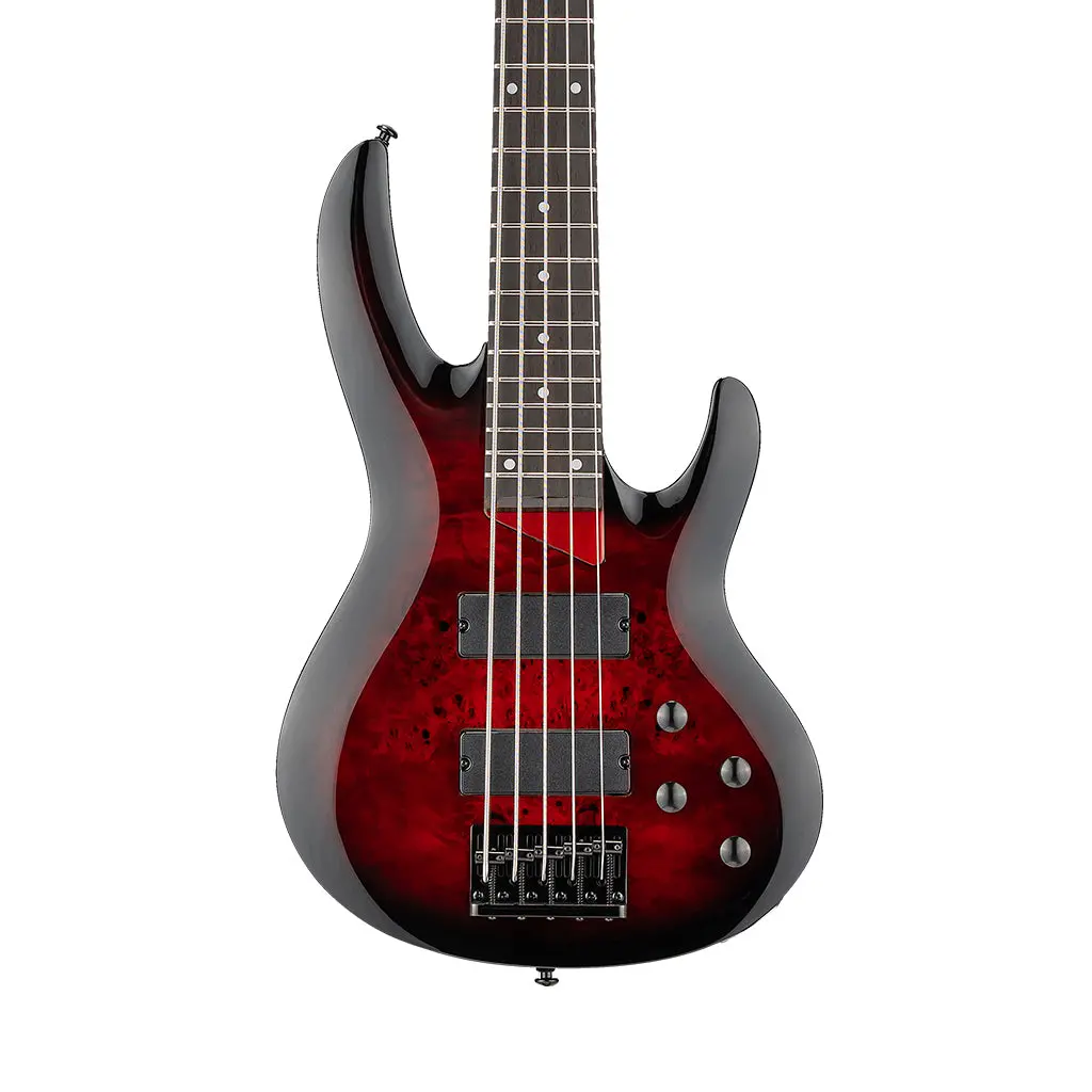 Esp Ltd B-205Dx 5-String Bass Guitar - Red Burst 1