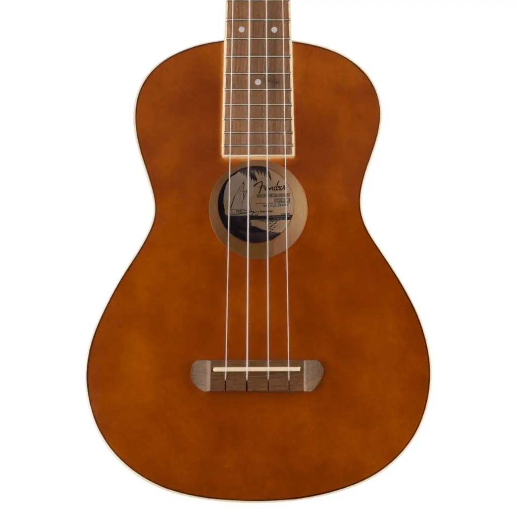 Fender Avalon Tenor Ukulele Natural 1
