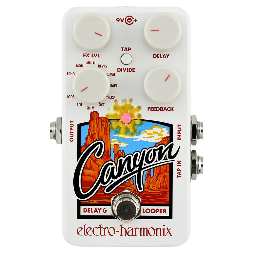 Electro-Harmonix Canyon Pedal 1