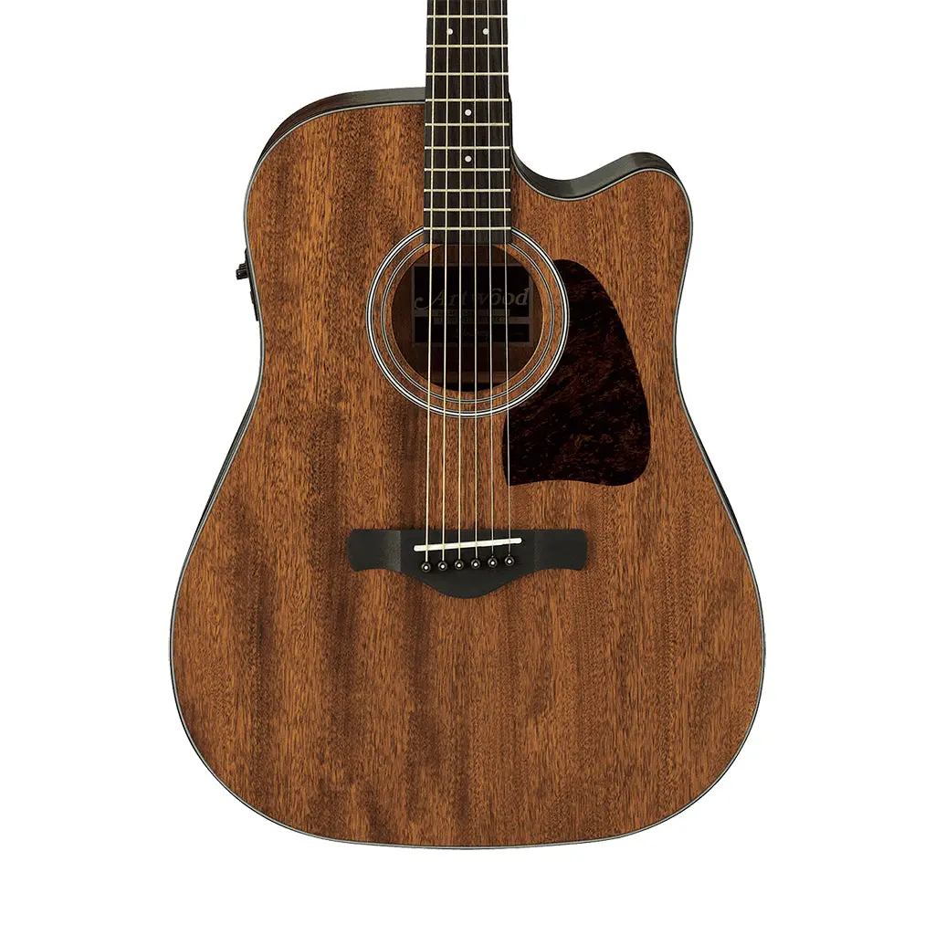 Ibanez Aw54ce - Artwood Dreadnought Acoustic Guitar - Open Pore Natural 1
