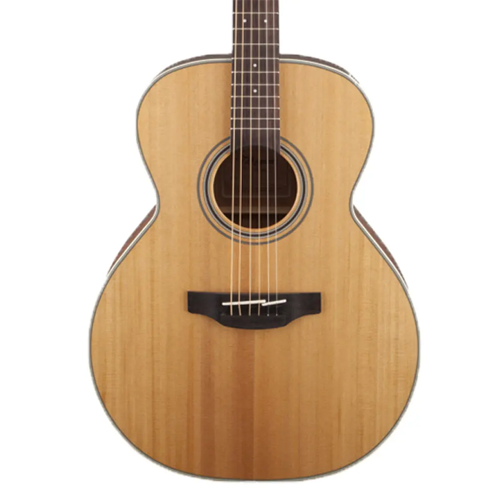 Takamine Nex Acoustic - Natural 1