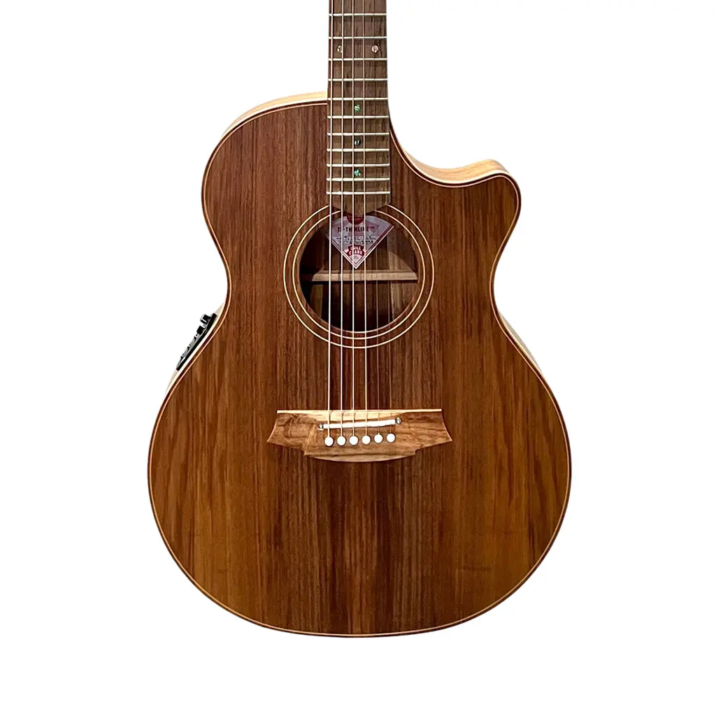 Cole Clark Thinline Grand Auditorium Acoustic/Electric - All Blackwood 1