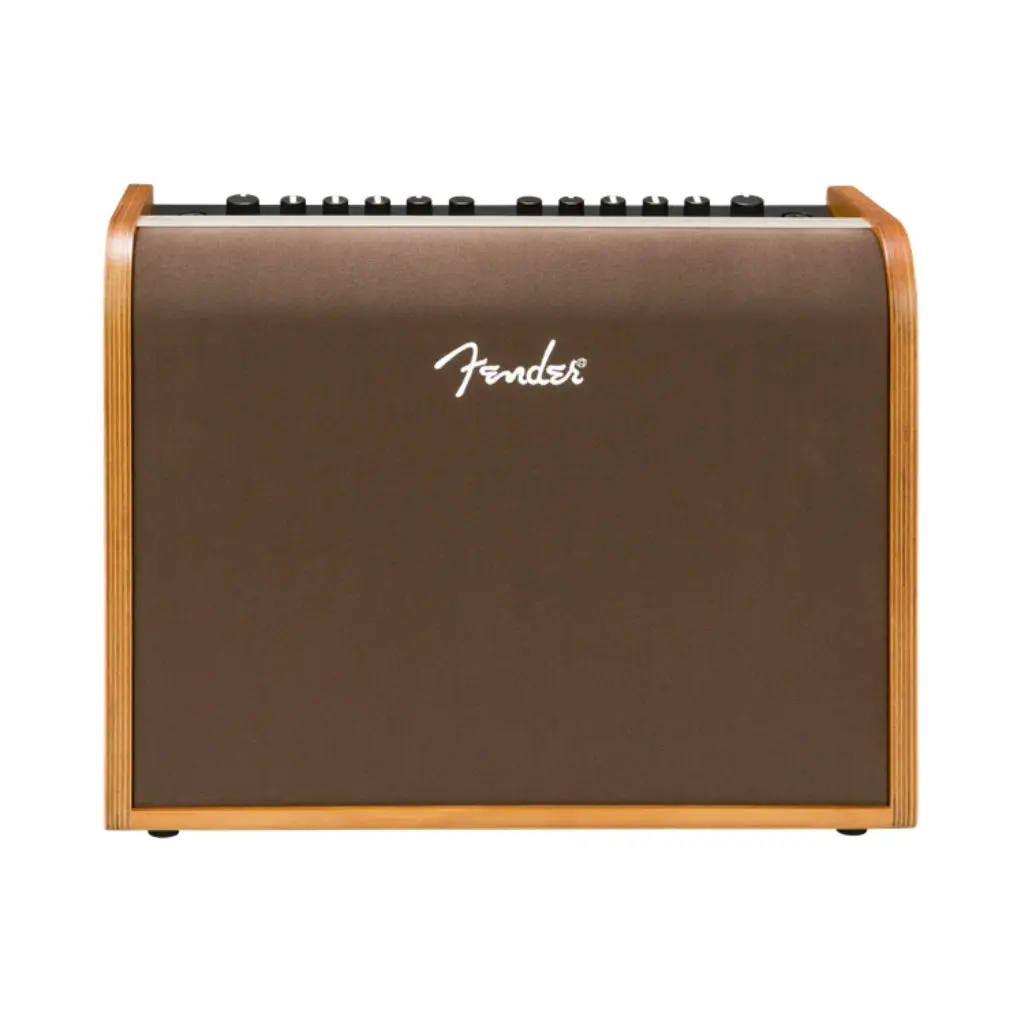 Fender Acoustic 100 Guitar Amplifier 1