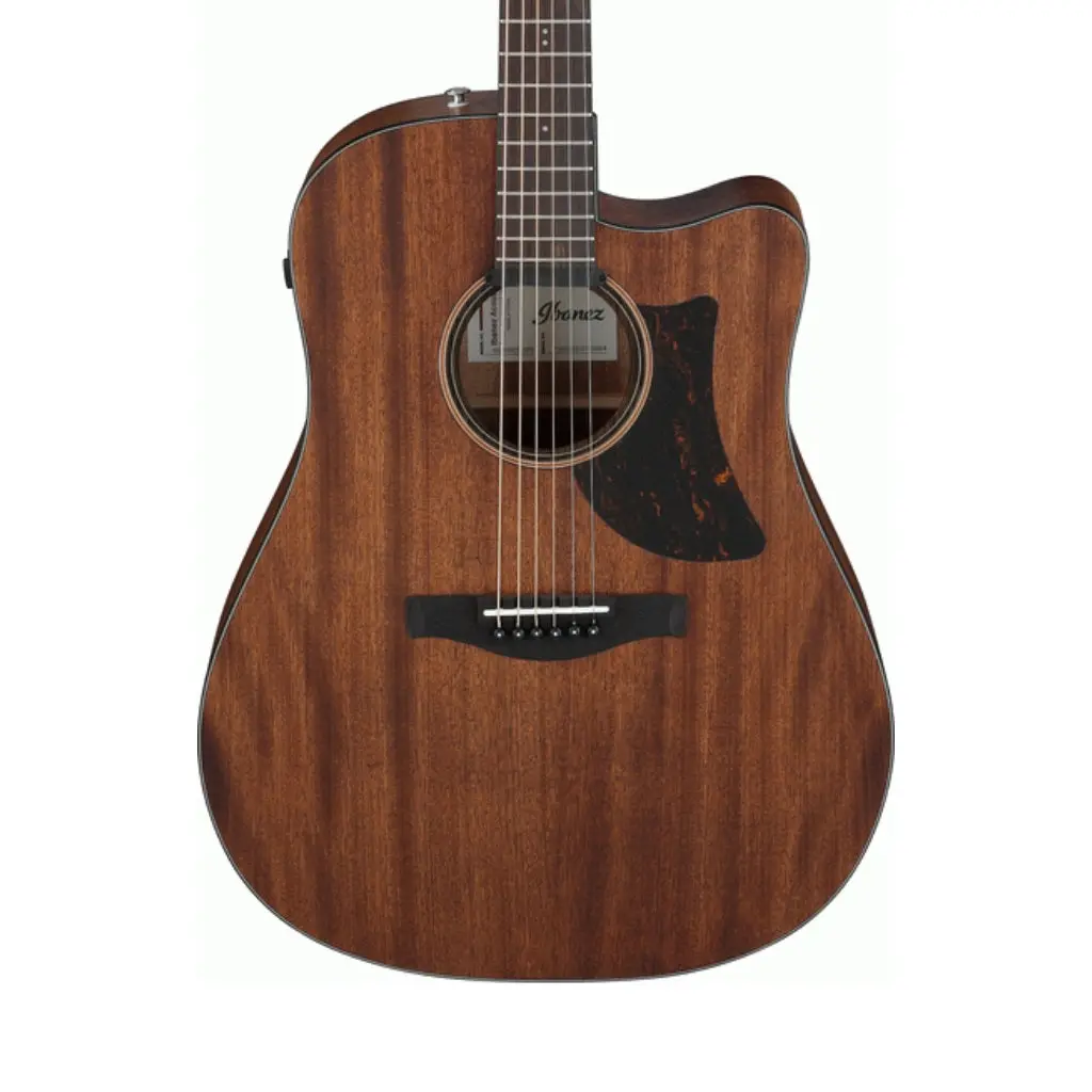 Ibanez - Aad190ce Advanced Acoustic Guitar - Open Pore Natural 1