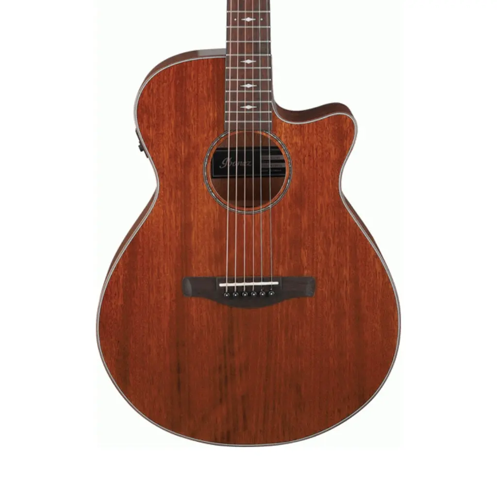 Ibanez - Aeg220 Aeg Acoustic Guitar - Low Natural Gloss 1