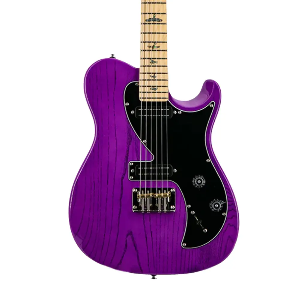 Prs Se Nf53 Narrowfield Pickups Electric Guitar - Purple Dog Hair 1