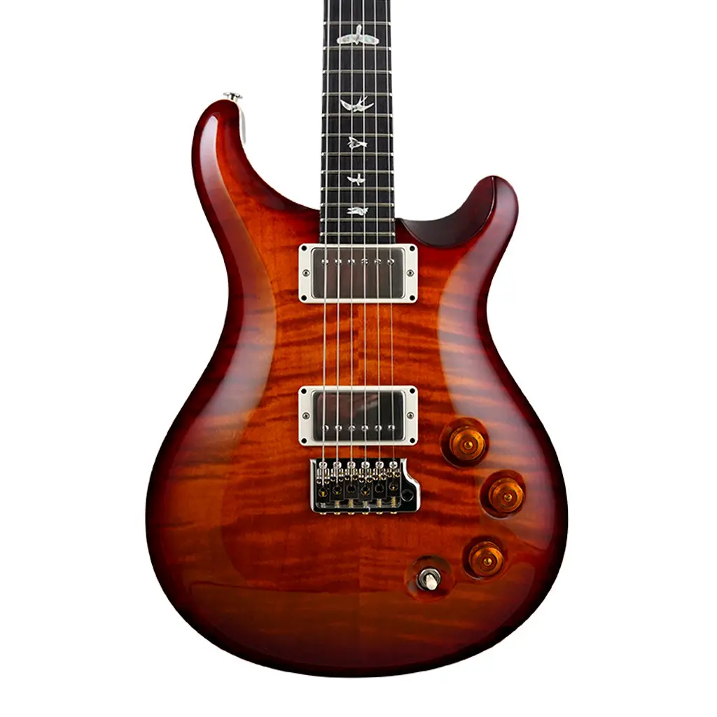 Prs Dgt - Dark Cherry Burst - Birds 1