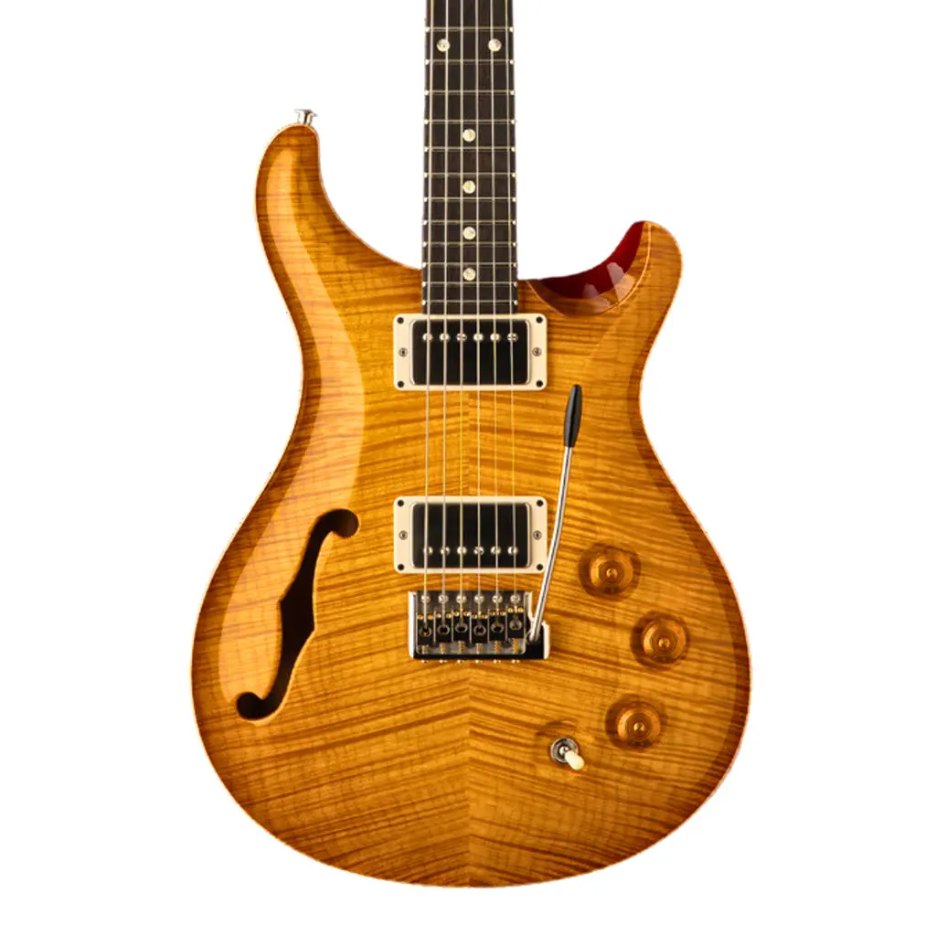 Prs Dgt Semi Hollow Limited Edition Mccarty Sunburst 1