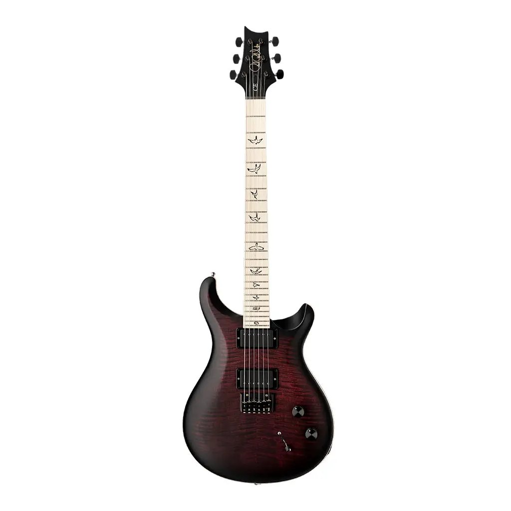Prs Dustie Waring Hardtail - Waring Burst 2