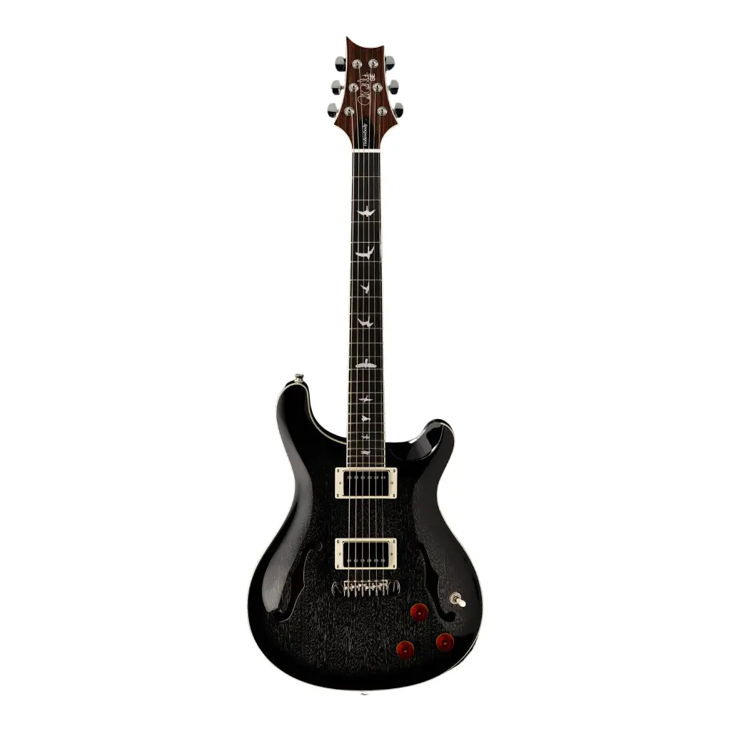 Prs Se Hollowbody Standard Piezo - Dog Hair Smokeburst 2