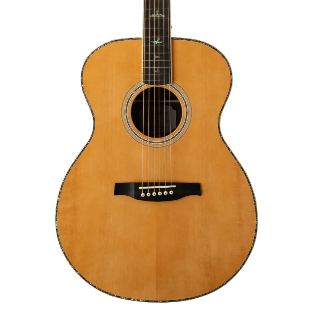 Prs Se T60e Tonare Acoustic Electric W Case 1