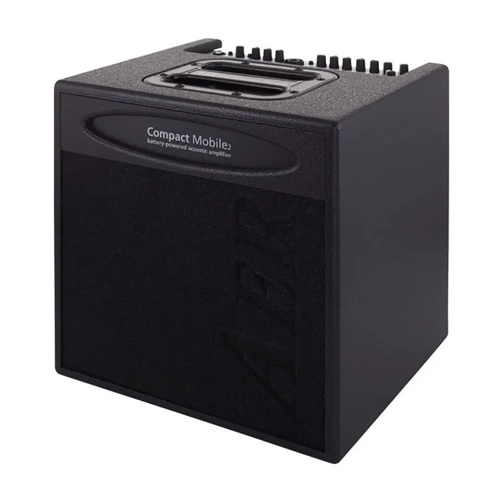 Aer Compact Mobile 60W Acoustic Guitar Amp 1