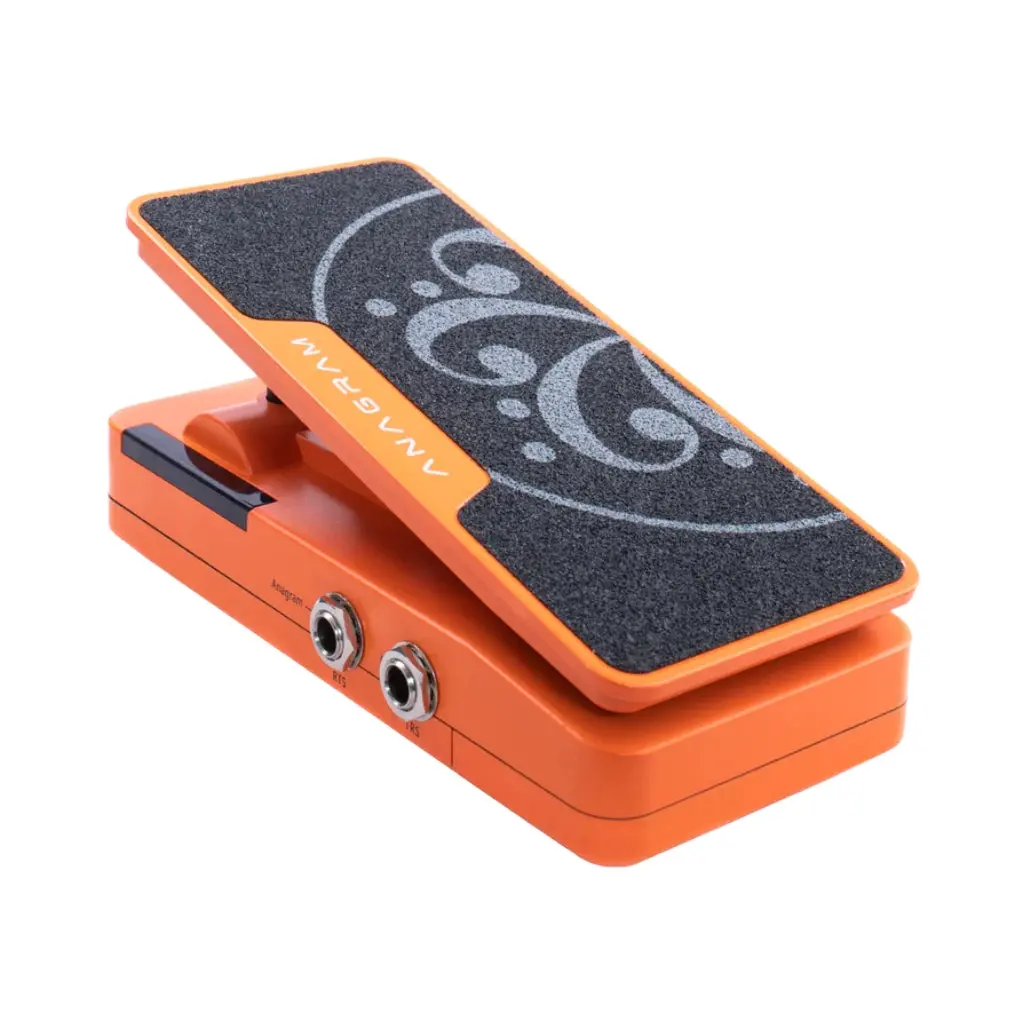 Darkglass Anagram Press Expression Pedal 1