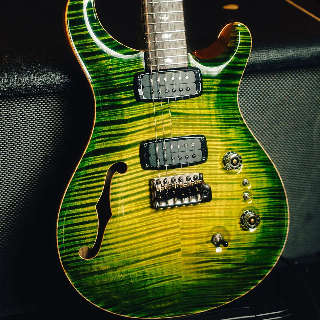 Prs Private Stock #11603 Custom 24-08 Semi-Hollow Electric Guitar - Rainforest Glow 1