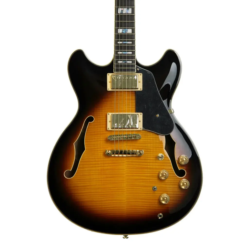 Ibanez Jsm10 Vys John Scofield Electric Guitar W/Case 1