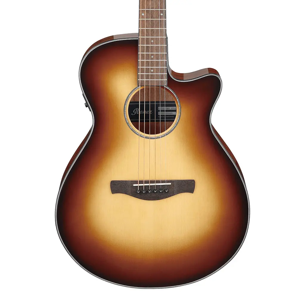 Ibanez Aeg50 Dhh Acoustic Guitar 1