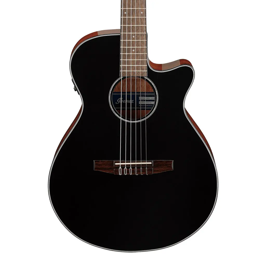 Ibanez Aeg50n Bkh Acoustic Guitar 1