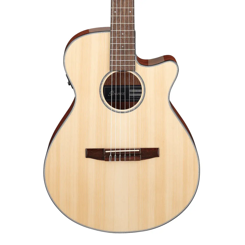 Ibanez Aeg50n Nt Acoustic Guitar 1