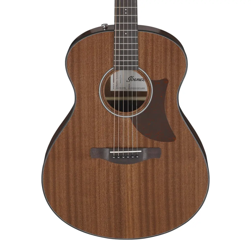 Ibanez Aam54opn Acoustic Guitar - Open Pore Natural 1