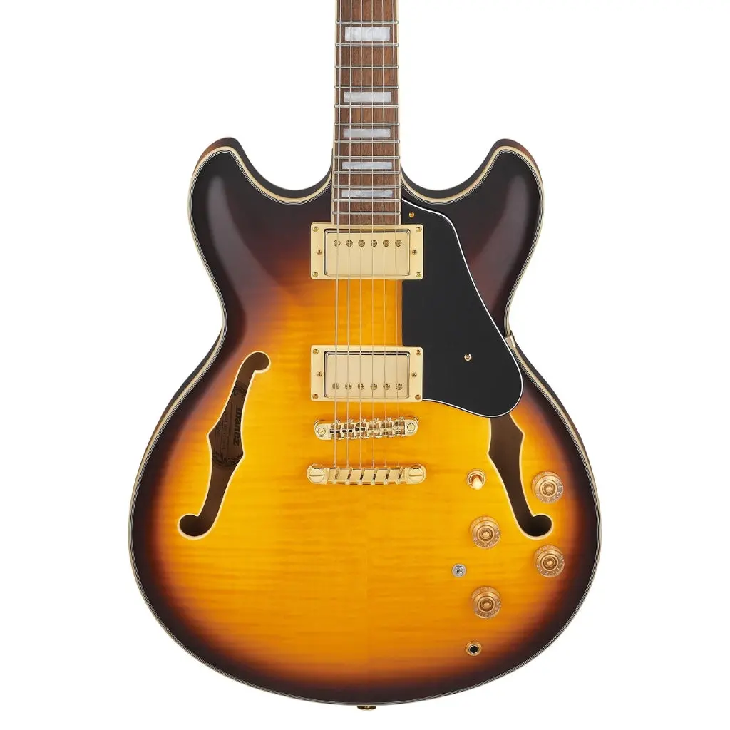 Ibanez Jsm10em John Scofield Signature Electric Guitar - Two Tone Burst 1