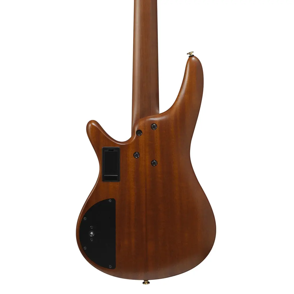 Ibanez Sr5505 5-String Bass Ovangkol Top With Rosewood Fretboard And Case - Mocha Flat 2