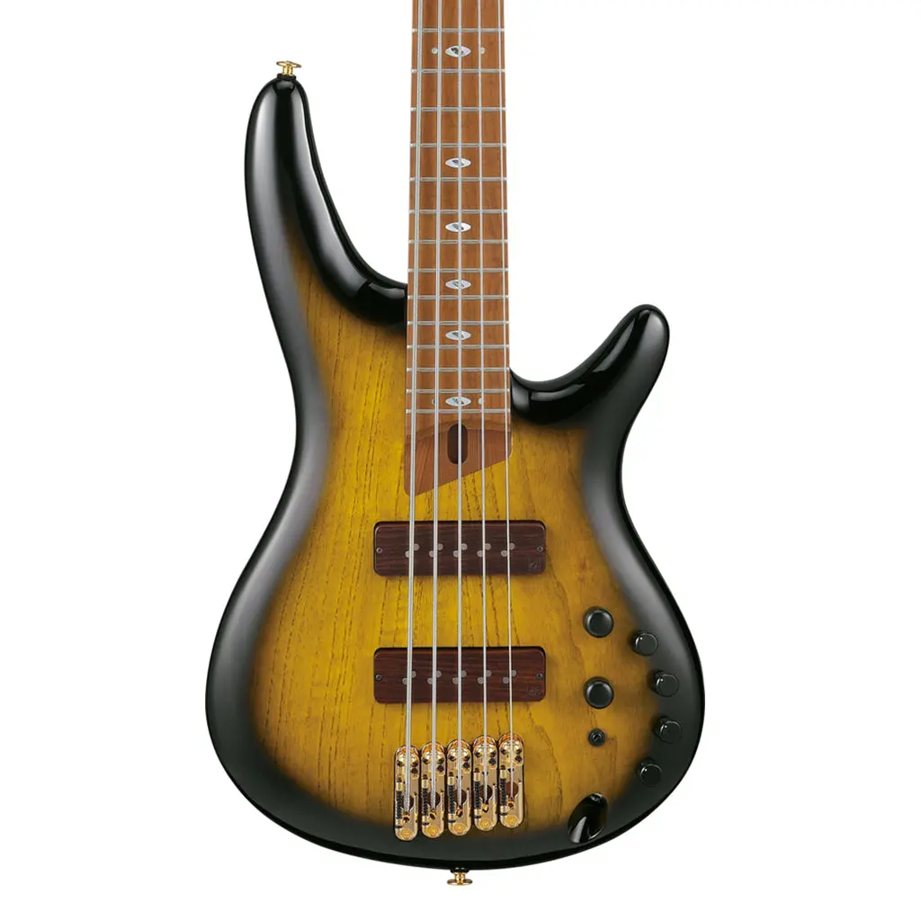 Ibanez Sr4505 5-String Bass Ash Body With Roasted Maple Fretboard And Case - Desert Sunset Burst 1