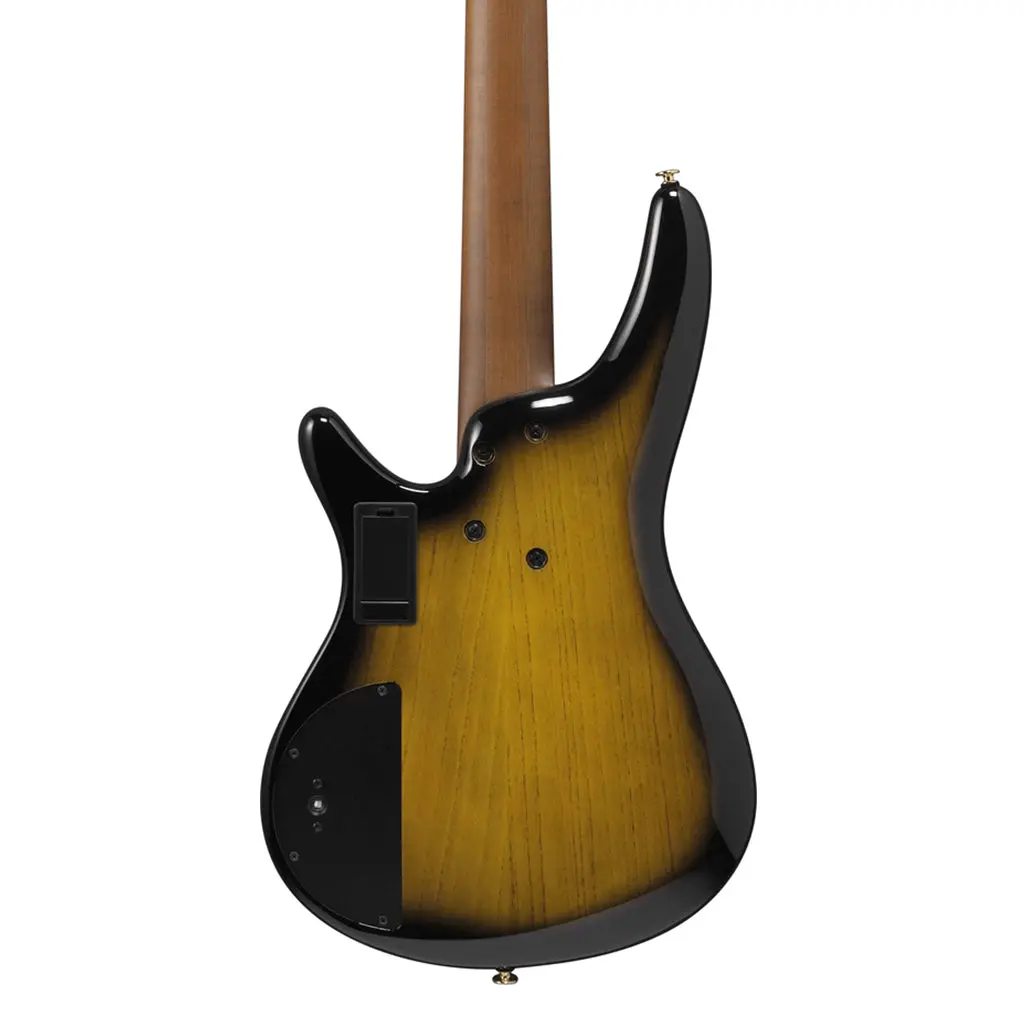 Ibanez Sr4505 5-String Bass Ash Body With Roasted Maple Fretboard And Case - Desert Sunset Burst 2