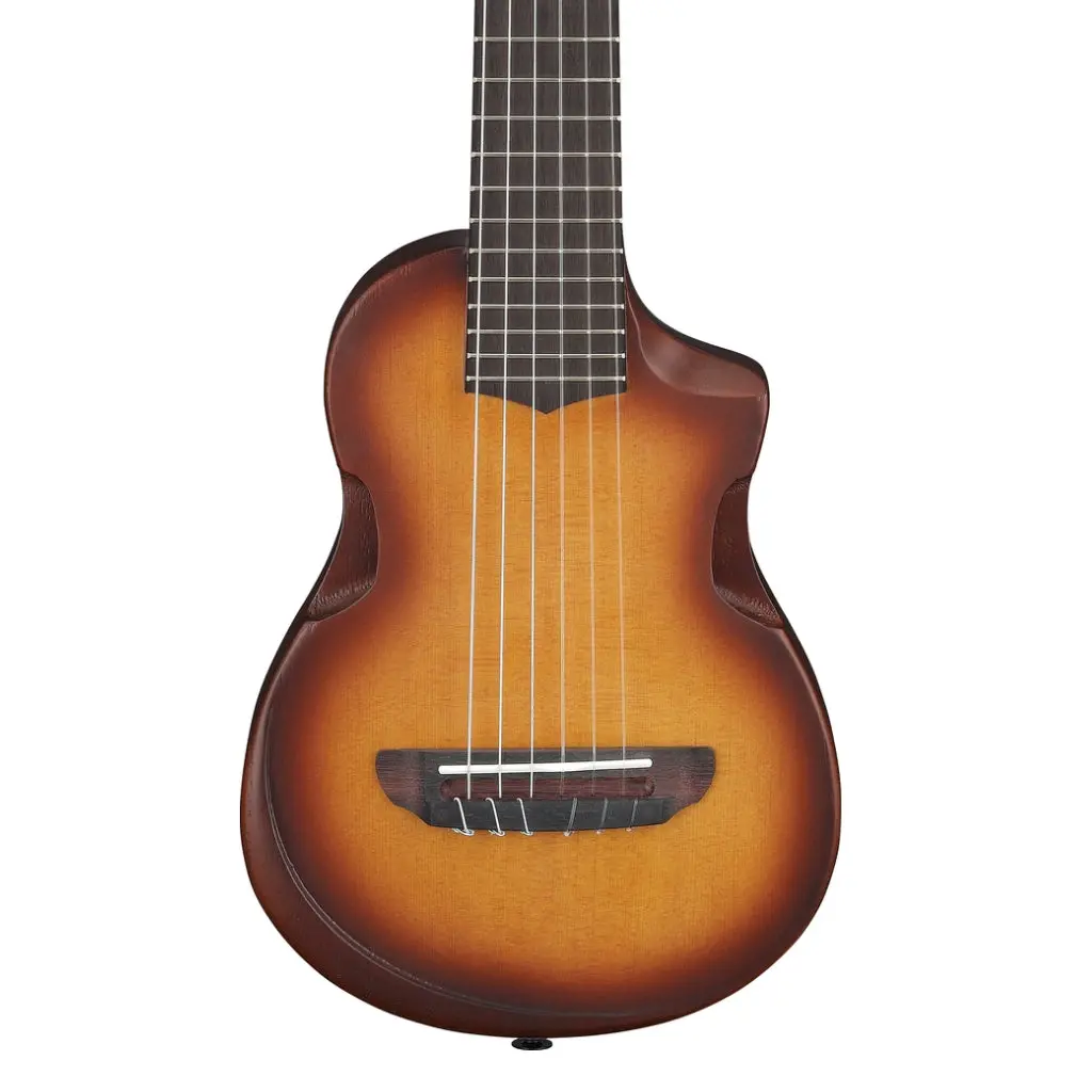 Ibanez Aup10n Ukulele With Bag - Open Pore Light Brown Sunburst 1