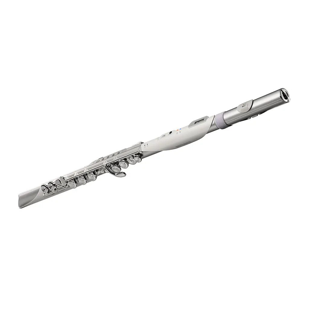 Roland Aerophone Brisa Digital Wind Instrument 1