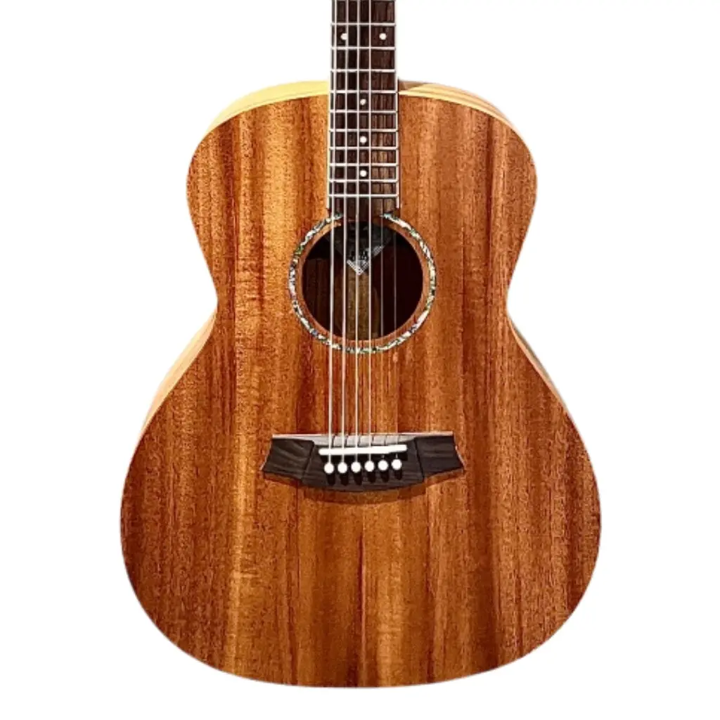 Cole Clark San1-Mmah Studio Grand Auditorium - All African Mahogany 1
