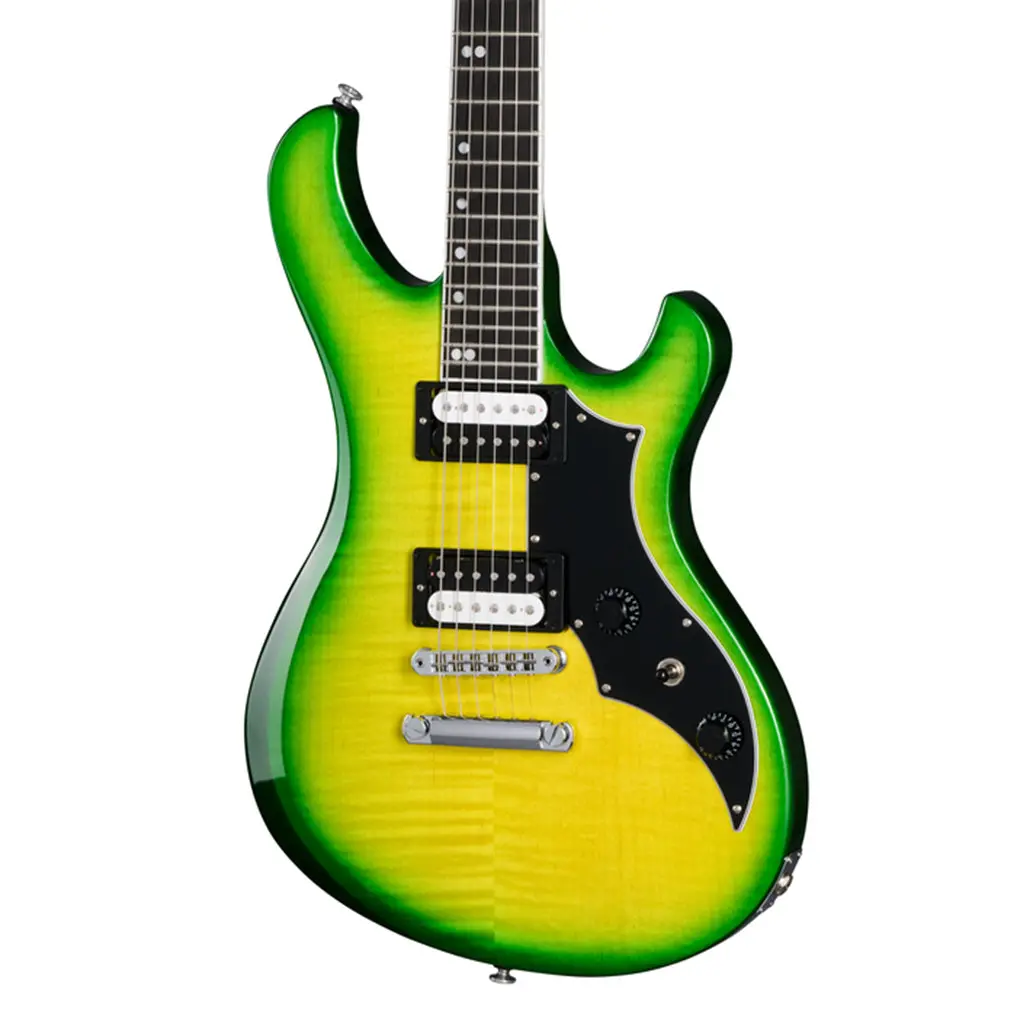 Gibson Victory Figured Top Iguana Burst 1