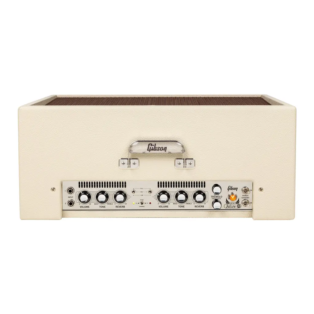 Gibson Dual Falcon 2X10 Combo 2