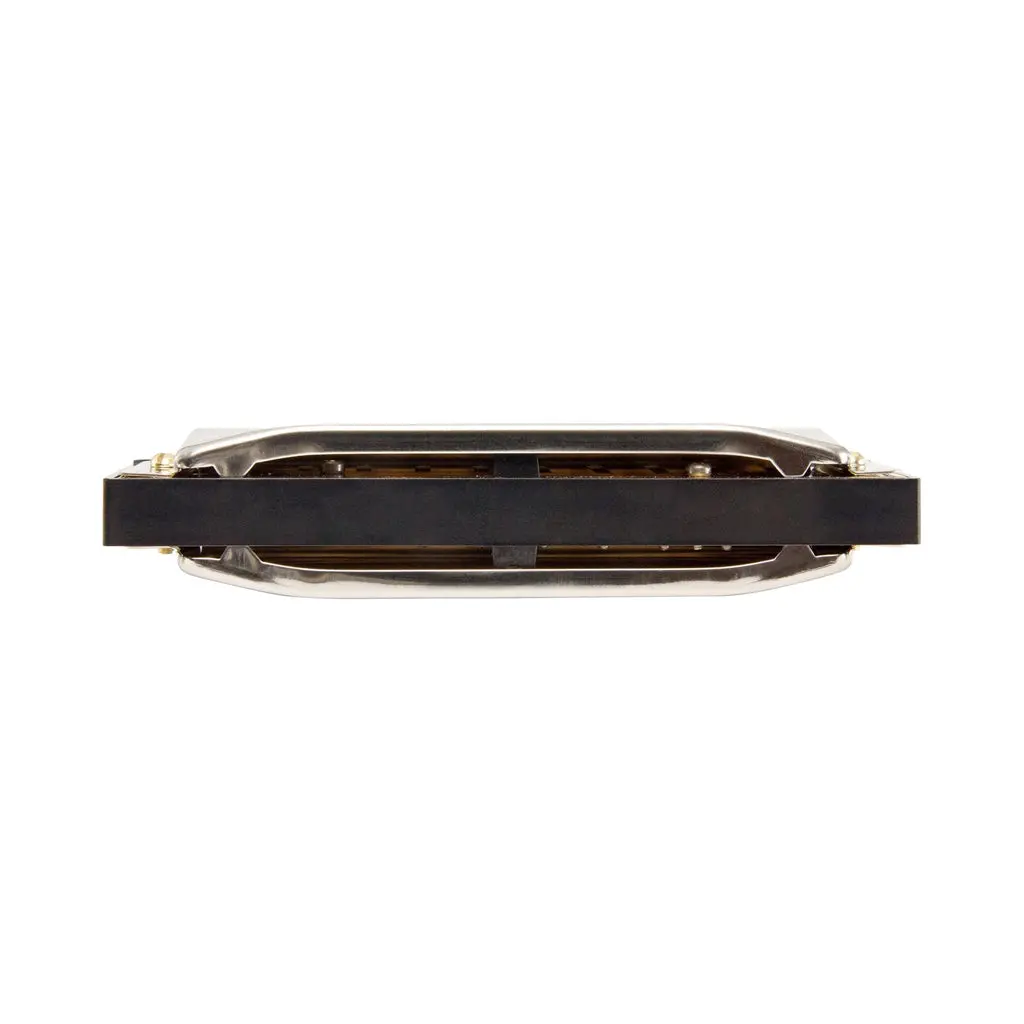 Hohner Progressive Series Special 20 10-Hole Diatonic Harmonica - D 2