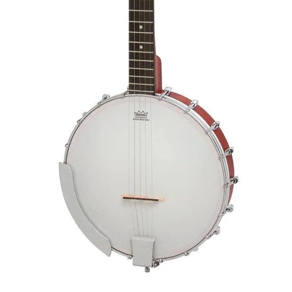 Epiphone Mb100 Banjo - Vintage Sunburst 1