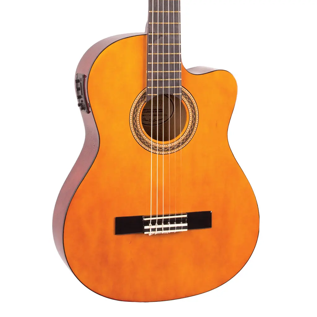 Valencia 100 Series 4/4 Classic Cutaway E/A Gloss 1
