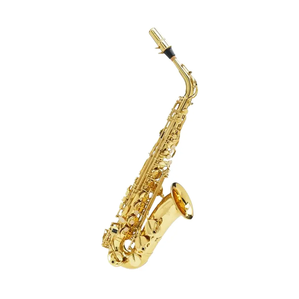 Buffet 100 Series Alto Sax 1
