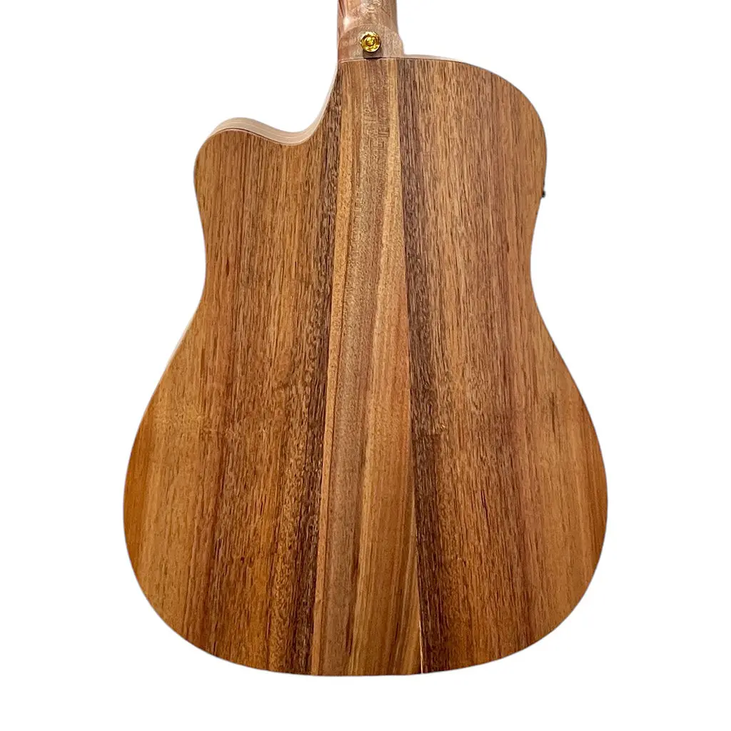 Cole Clark Fl2ec-Bb Dreadnought Cutaway - Bunya Blackwood 2