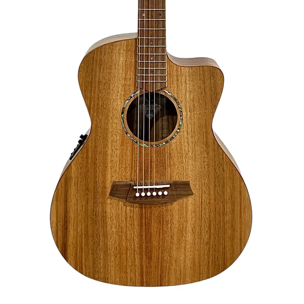 Cole Clark San1ec-Blbl Studio Grand Auditorium All Blackwood 1
