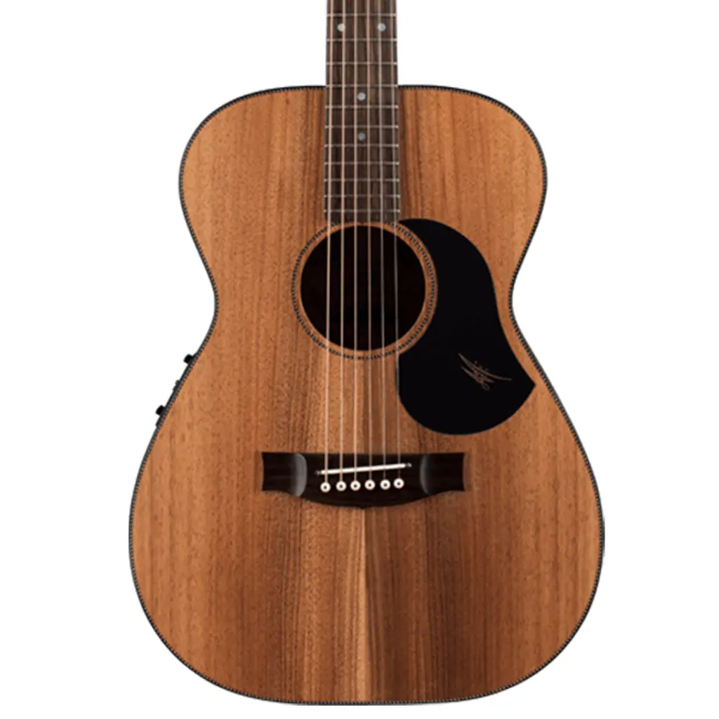 Maton Ebw808 "Blackwood Series" Acoustic Guitar 1