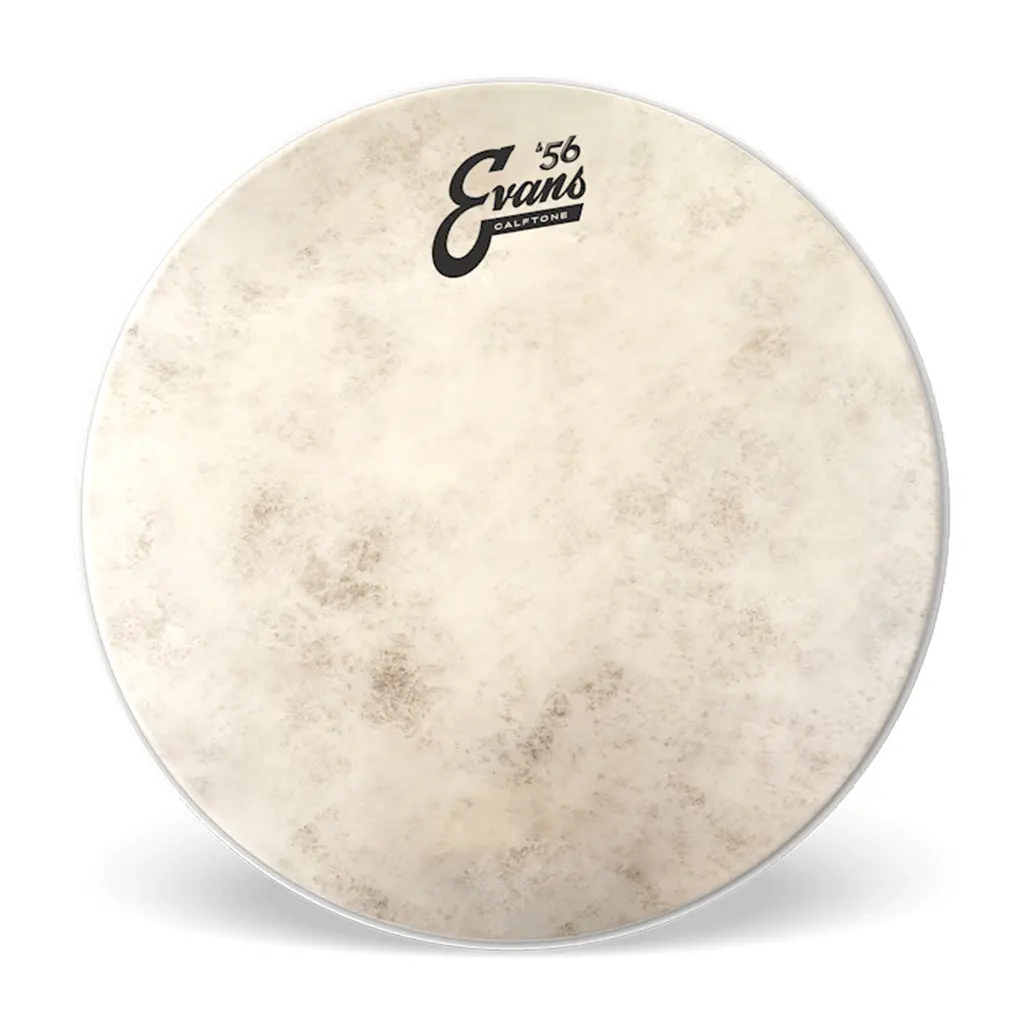 Evans 10" Calftone 1