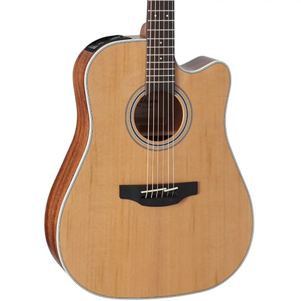 Takamine Gd20ce Dreadnought Acoustic Guitar 1