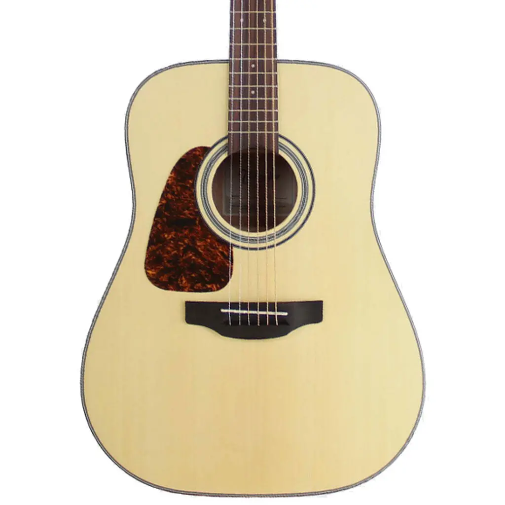 Takamine Gd 10 Acoustic Dreadnought - Left Handed 1