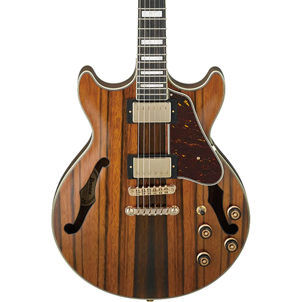 Ibanez Am93me Hollow Body - Natural 1