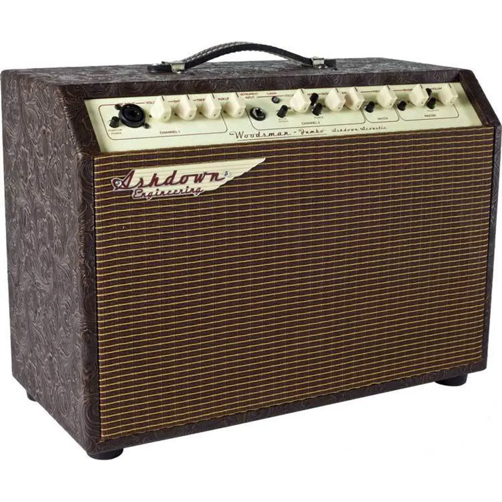 Ashdown 65W 2X8" 2 Channel Acoustic Amplifier 1