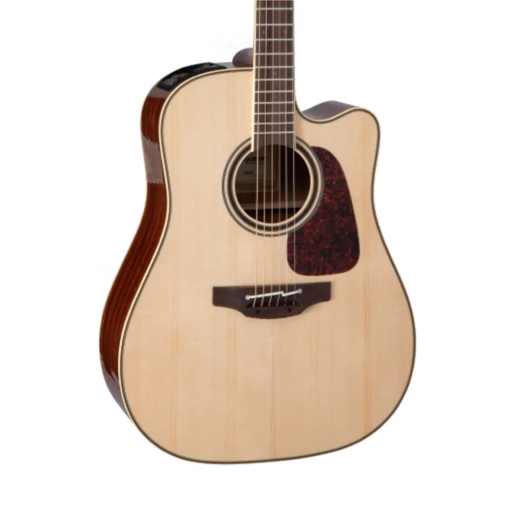 Takamine P4dc Dreadnought - Natural 1