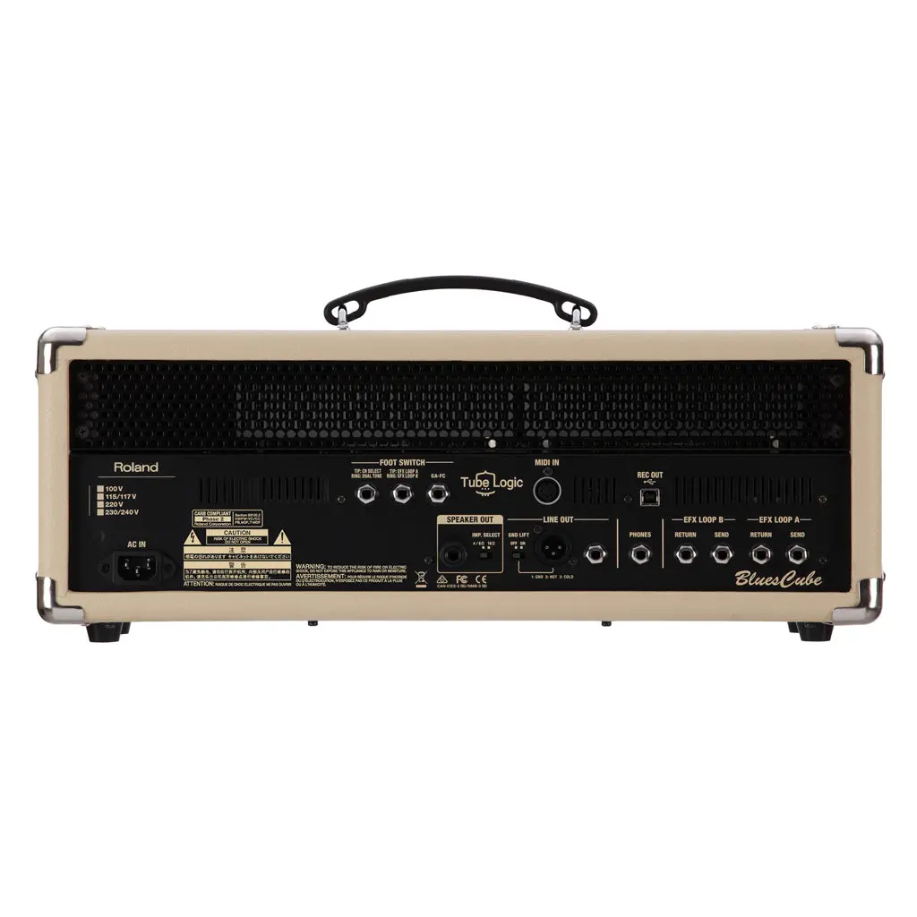 Roland - Blues Cube Tour Amp Head 2