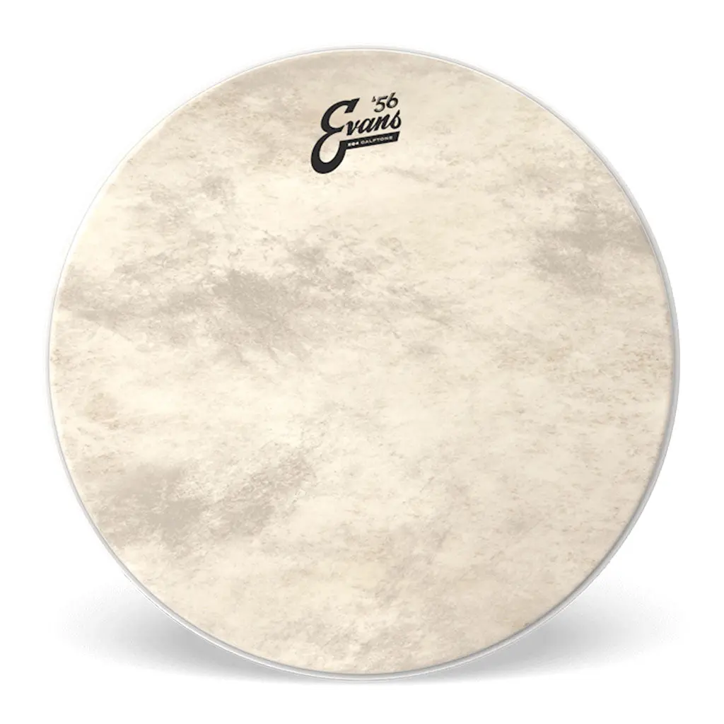 Evans 20" Eq4 Calftone 1