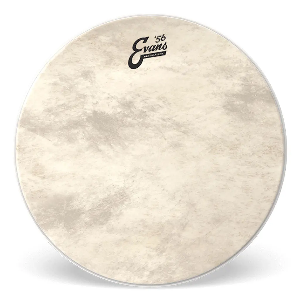 Evans 22" Eq4 Batter Calftone 1