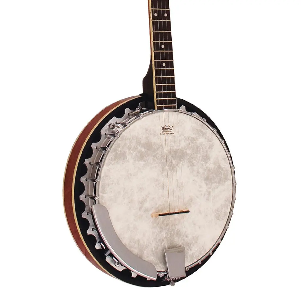 Barnes & Mullins Perfect 5 String Banjo 1