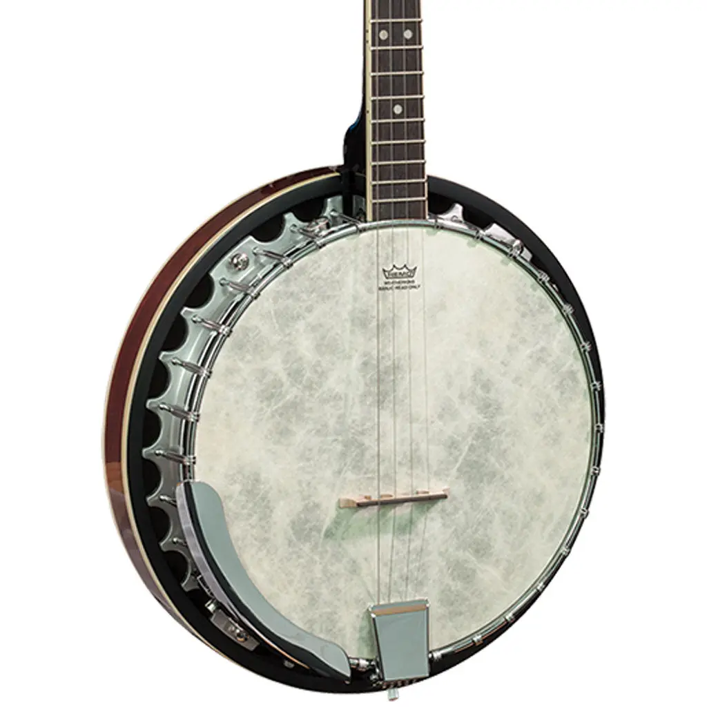 Barnes & Mullins Bj304gt Perfect Gaelic 4 String Banjo 1